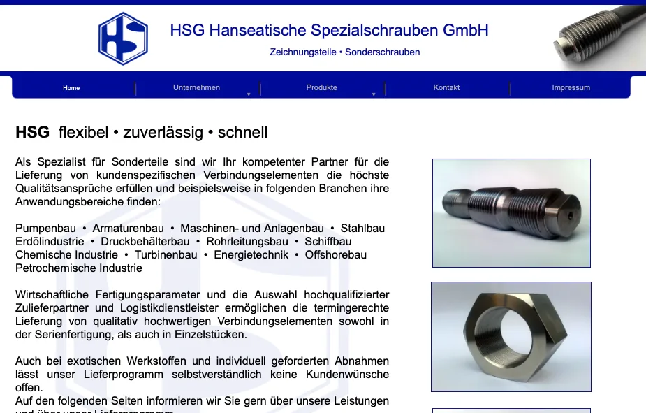 Alte HSG Website
